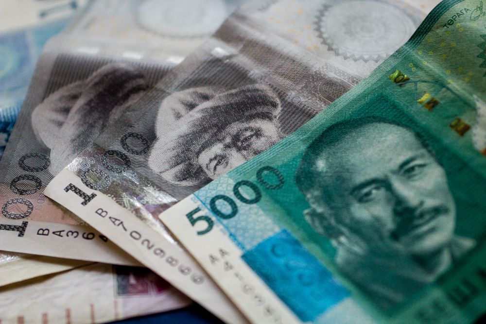Билим берүү тармагына 33.9 млрд сом бөлүндү