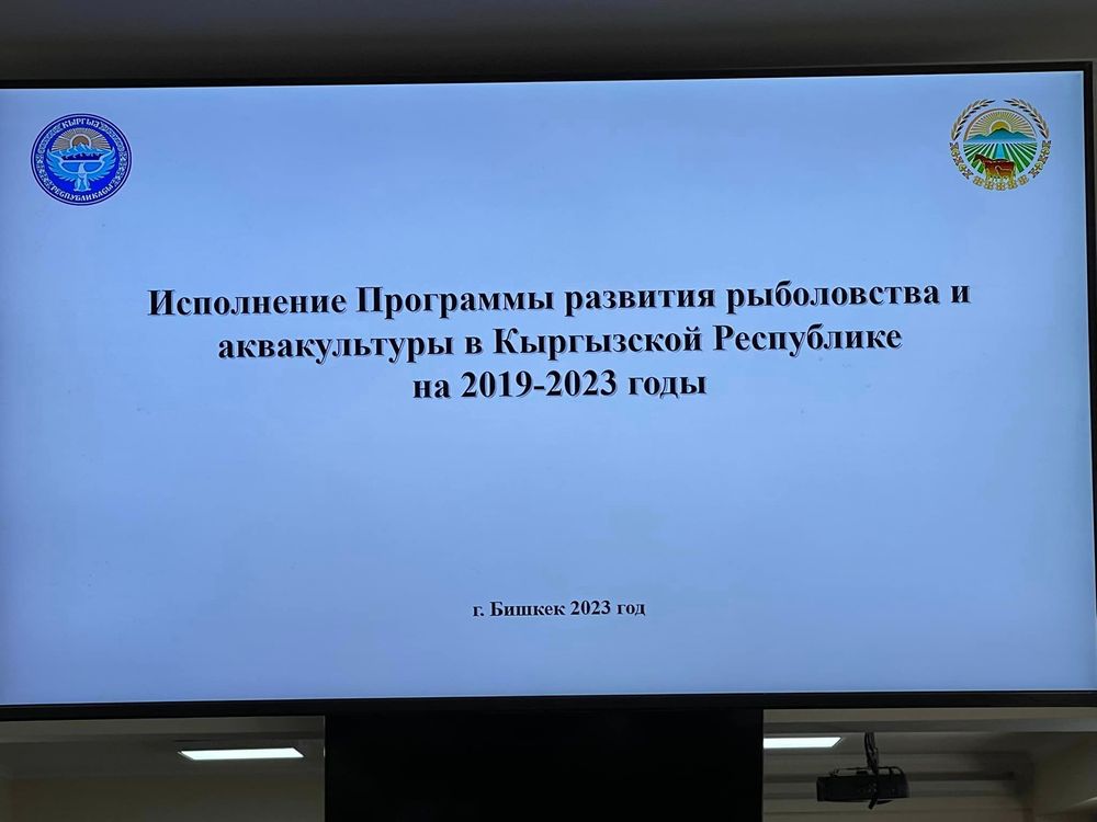 Кыргызстанда балык чарбасын өнүктүрүү стратегиясы талкууланды изображение публикации