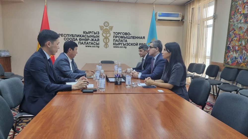 AZPROMO Кыргызстандын инвестициялык потенциалын изилдейт изображение публикации