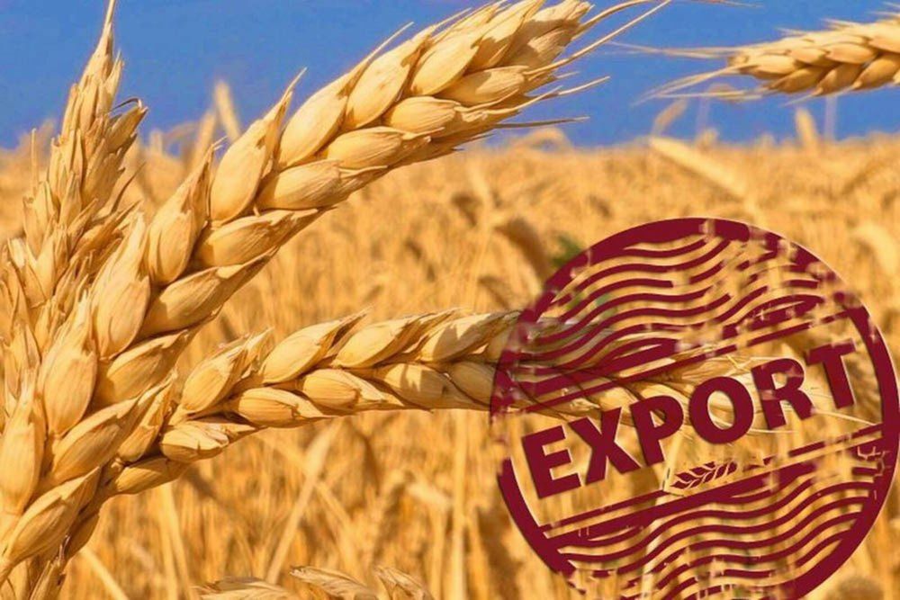 Бир жумалда 9.8 миң тонна айыл чарба продукциясы экспорттолду изображение публикации