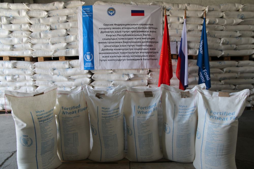 Бир жарым жылда 6 миң тонна азык-түлүк аз камсыз болгон 170 миң жаранга бөлүштүрүлдү – Эмгек министрлиги изображение публикации