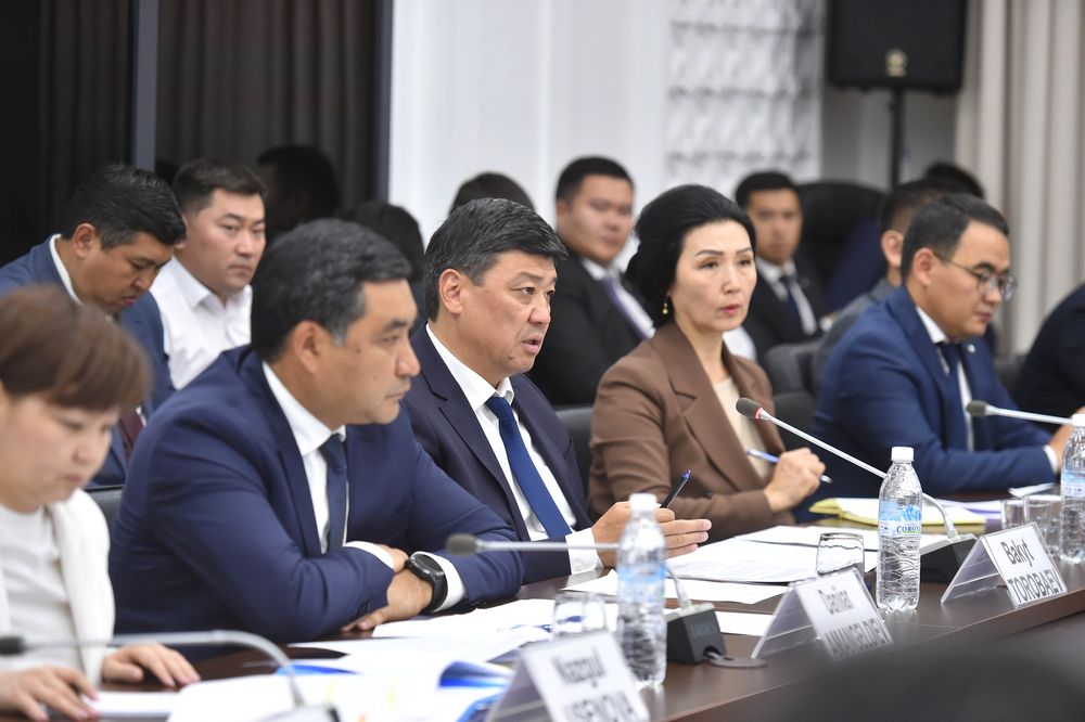 Өкмөт кытайлык ишкерлер менен жолугушуу өткөрдү изображение публикации