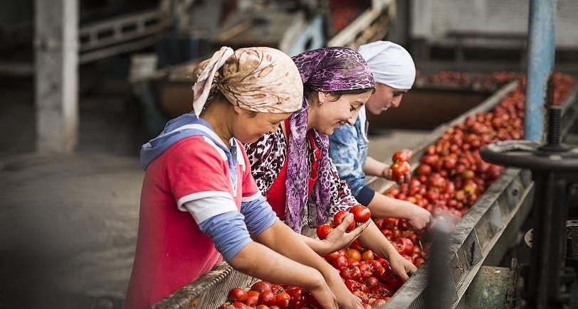 Кыргызстан айыл чарба продукциясынын экспортунун көлөмү 20.7 млрд сомду түздү изображение публикации