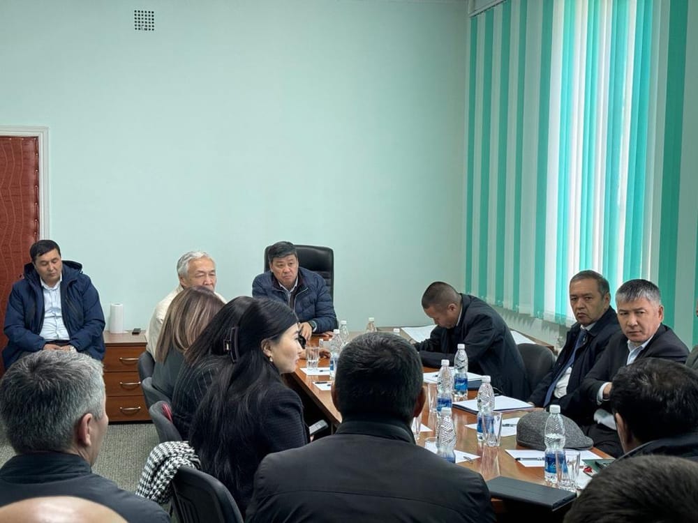 Өкмөт Кара-Балтада тоо-кен казуу тармагын өнүктүрүүдө долбоорлорду талкуулады изображение публикации