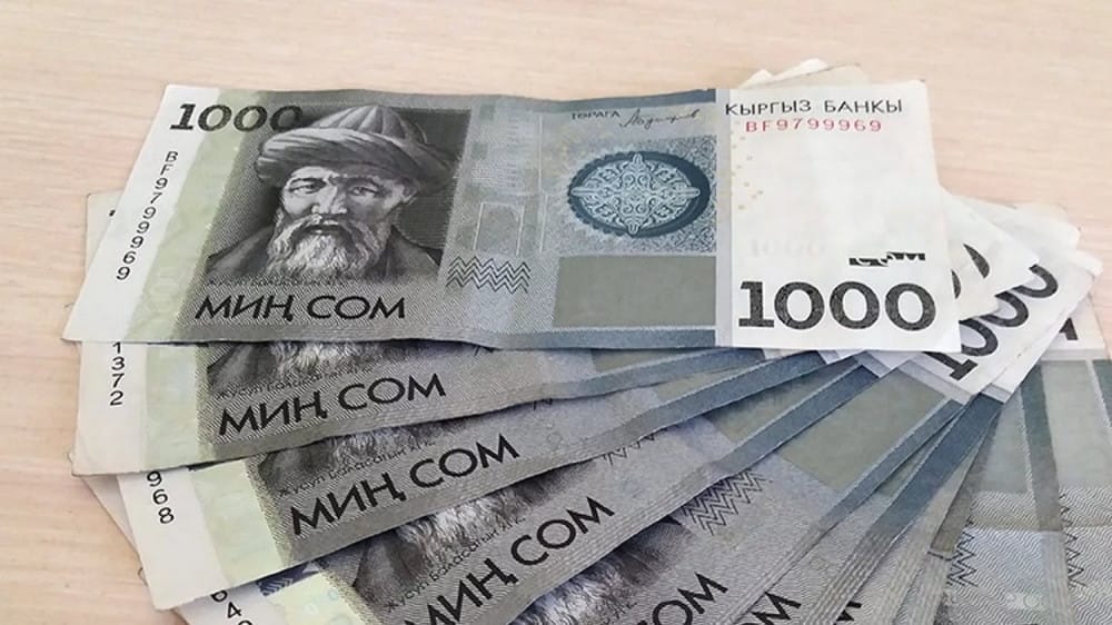 Микрокредит алуучулардын 20%ы Ош облусунан изображение публикации