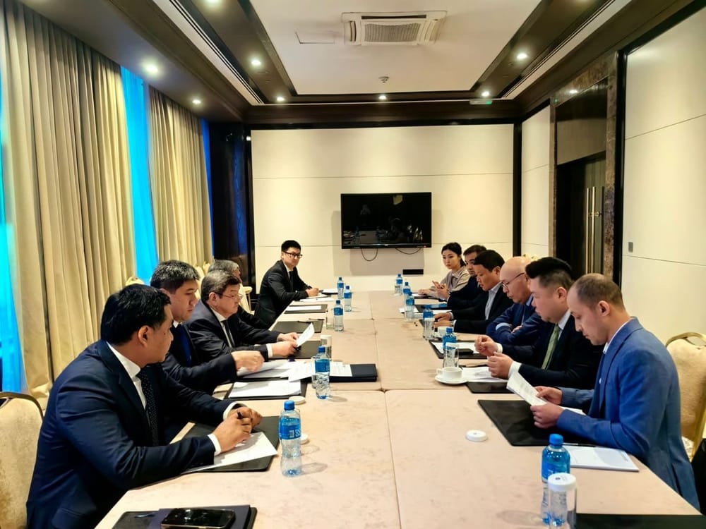 Өкмөттүн жетекчилиги кытайлык CNEEC менен жолукту изображение публикации