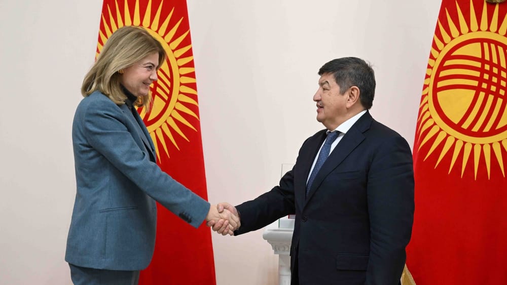 Акылбек Жапаров Rotschild and Co компаниясынын өкүлү менен жолукту изображение публикации