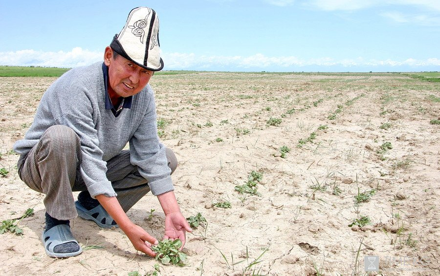 «Айыл чарбасын каржылоо -11» долбоору боюнча 2.2 млрд сомго насыя берилди