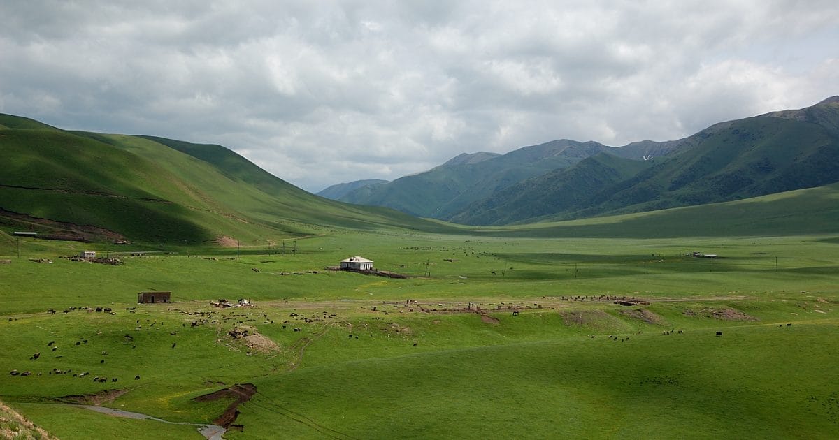 2023-жылга Мал чарба департаментине 10 млн сом каралган