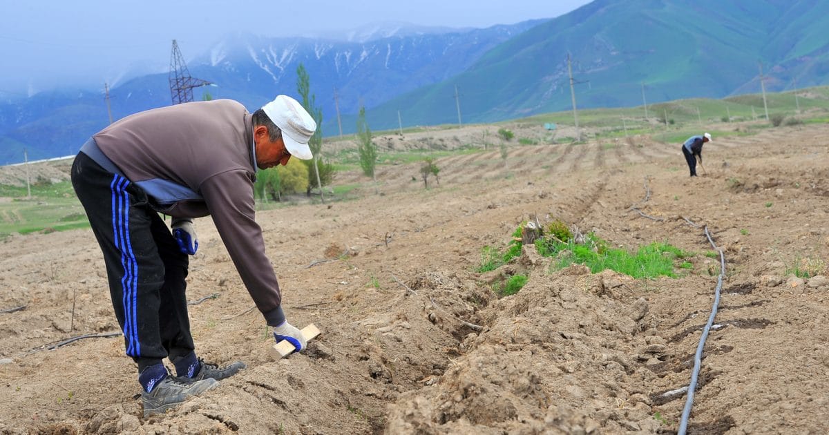 «Айыл чарбасын каржылоо» долбоору боюнча 53.6 млрд сомго насыя берилди