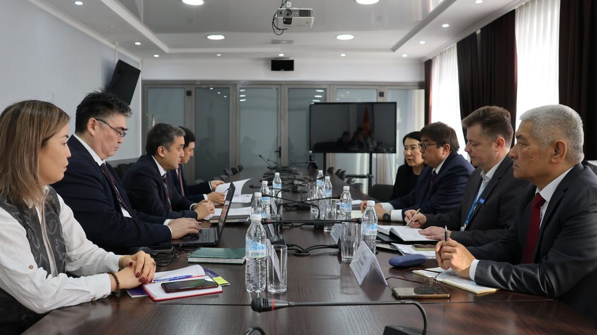 ДАПтын долбоору Кыргызстанда 50 миңдей адамды жумуш менен камсыз кылды