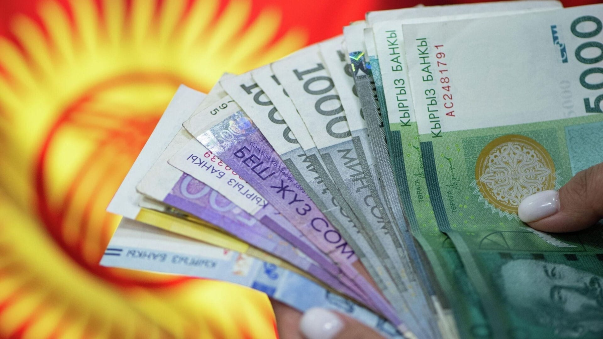 Фискалдык программа киргизилгенден кийин кафе-ресторандардын кирешеси 744%га өстү