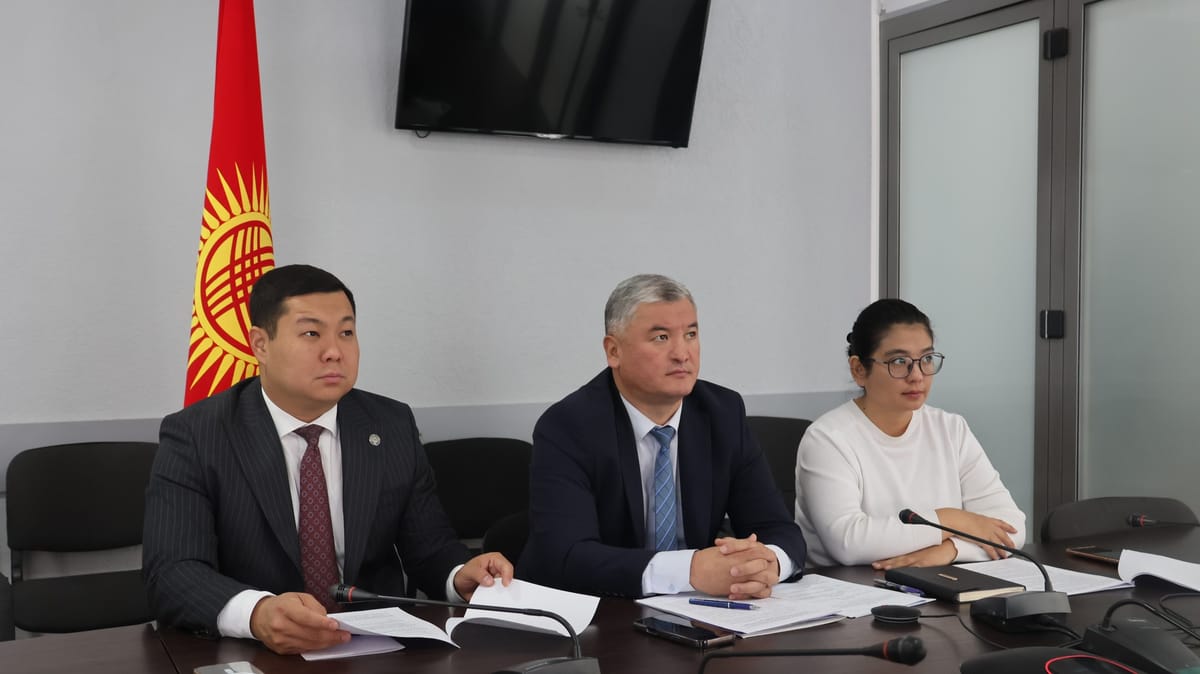 Кыргызстан КМШнын эмгек жана социалдык коргоо кеңешинде тажрыйба бөлүштү