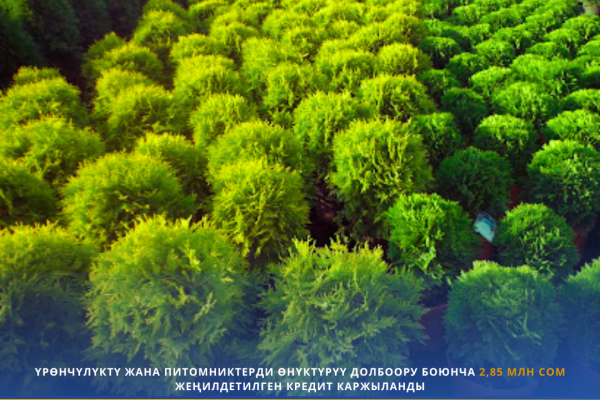 Үрөөнчүлүктү өнүктүрүү үчүн 2,85 млн сом жеңилдетилген кредит берилди
