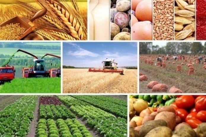 Өлкө айыл чарбасын каток 2026-жылга жылдырылды