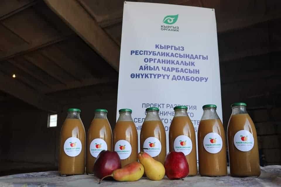 Тосор айылында табийгый мөмө-жемиш ширелери чыгарыла баштады