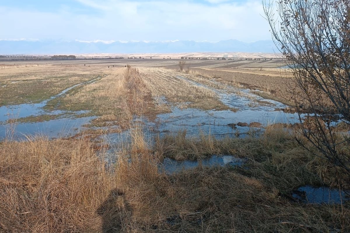 Республика боюнча күзгү ным топтоо сугаты  95%га аткарылды