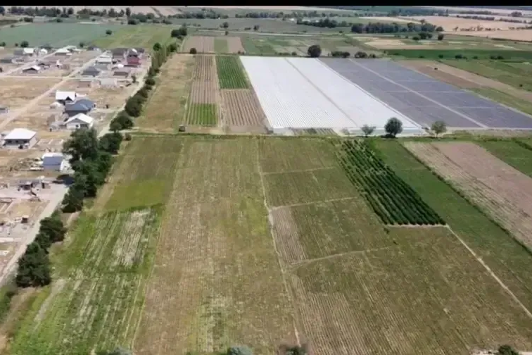 МинКаб шаар айланасындагы 234,8 гектар жерди транформациялоого уруксат берди