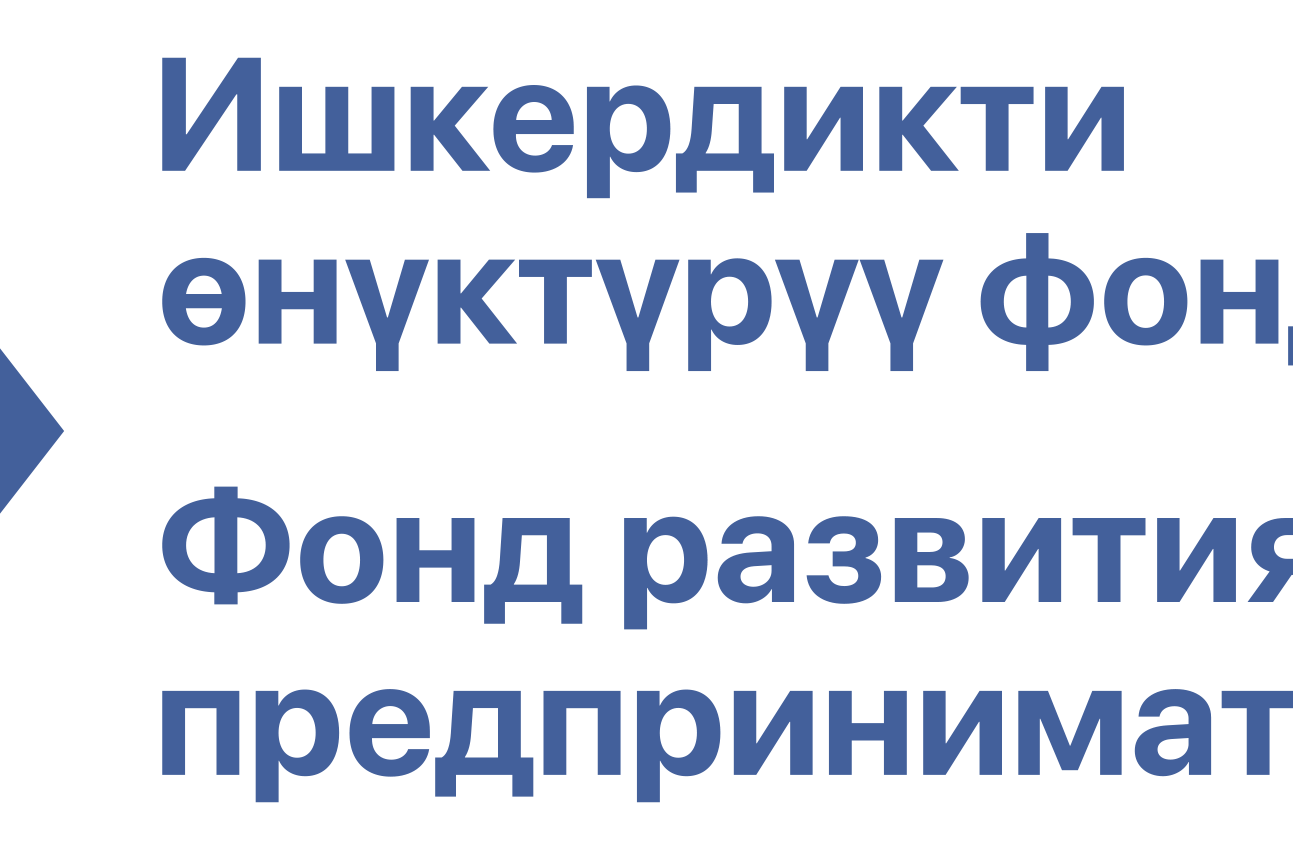 Насыялык колдоо программасына Аксы, Алай райондорунан катышуучулар жок