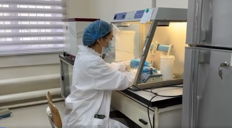 Балык чарбаларынын коопсуздугу үчүн лабораториялык текшерүүлөр жүргүзүлүүдө