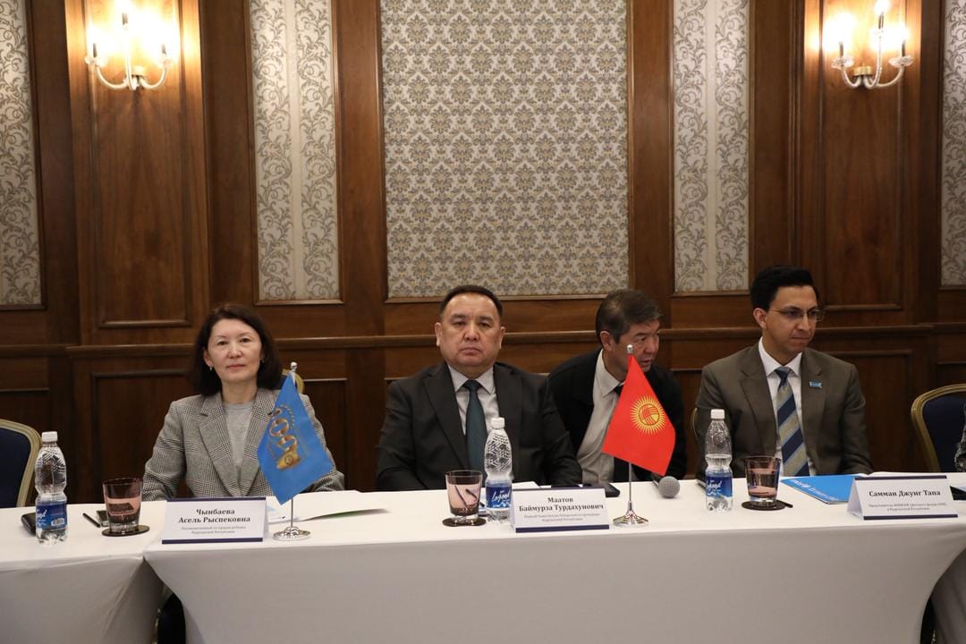 Балдарды кылмыш жоопкерчилигинен чыгаруу процесси жөнгө салынды