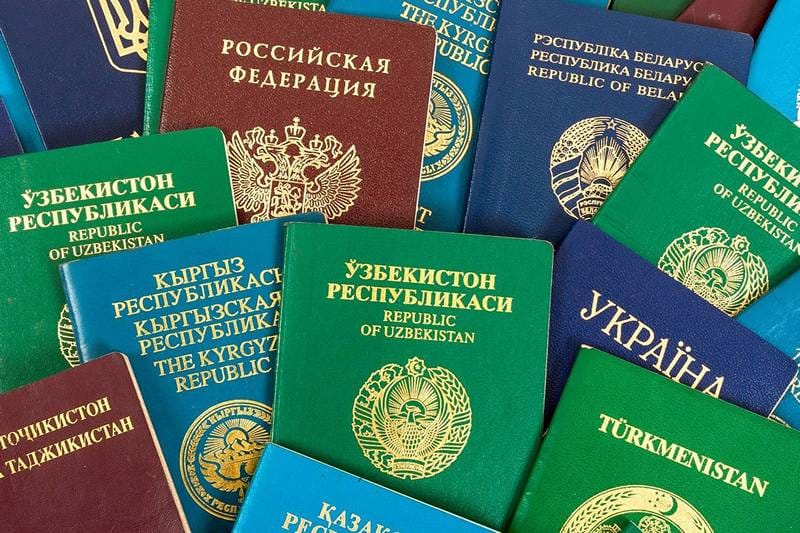 Эки жылда чет өлкөлүк мекендештерге 350дөн ашык "Мекен-карт" берилген