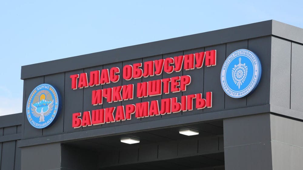 Таласта 41 баш топоз уурдоого шектелген 3 жаран кармалды