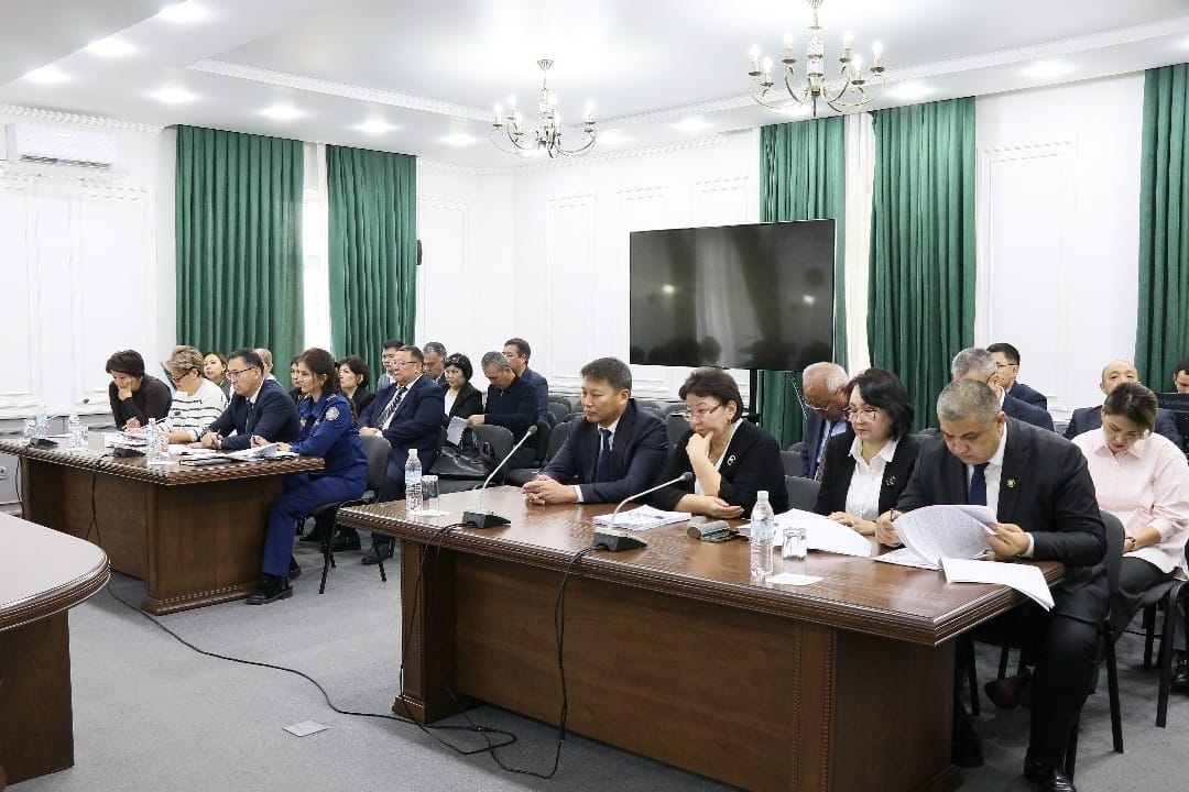 ӨКМ ишмердүүлүгүндөгү финансылык бузуулар аныктады