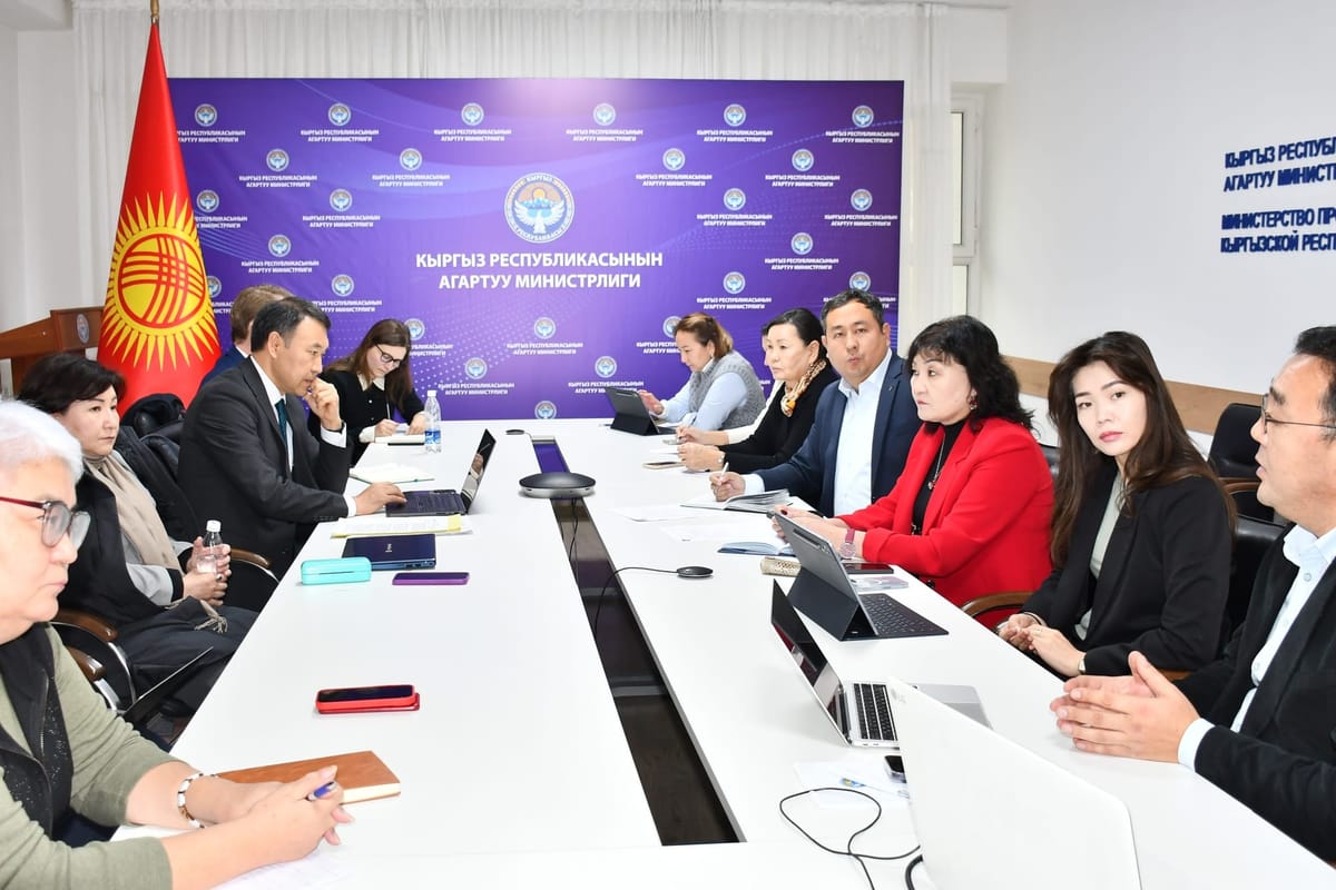 Азия өнүктүрүү банкы билим берүү уюмдарын куруу жана модернизациялоого кызыкдар