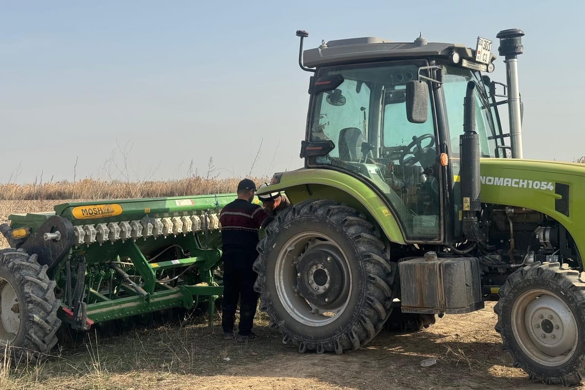 Айыл чарба министрлиги 200 гектар айдоо аянтына күздүк буудай айдады