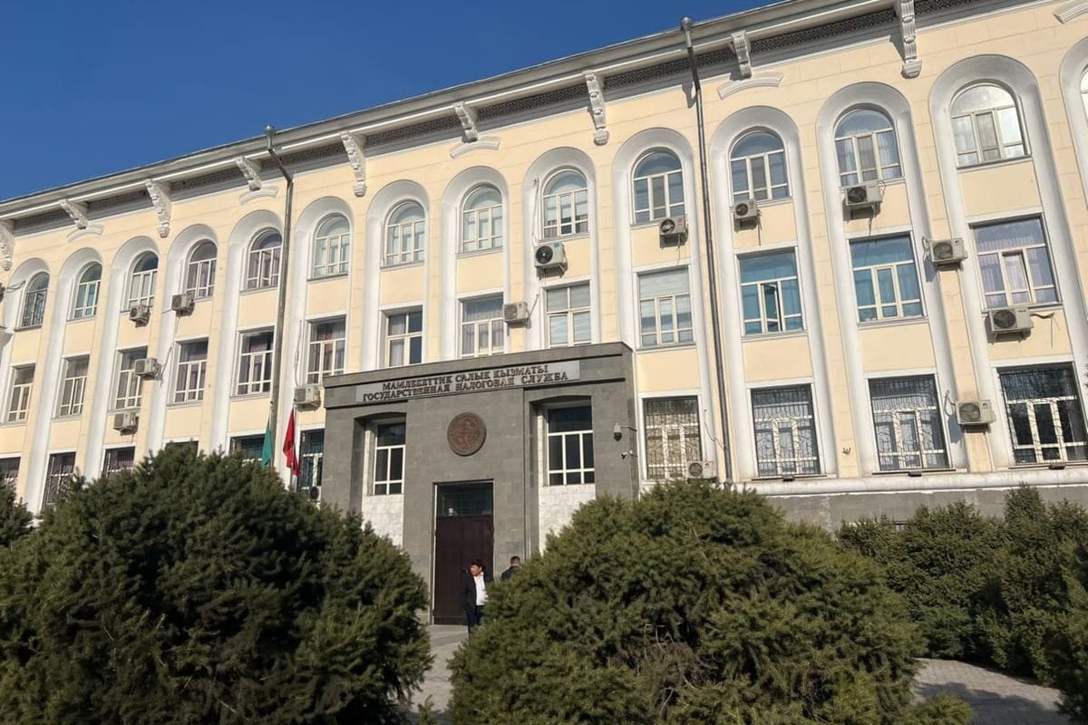 Салык кызматынын борбордук аппараты 16га кыскарса, аймактарда ошончого көбөйдү