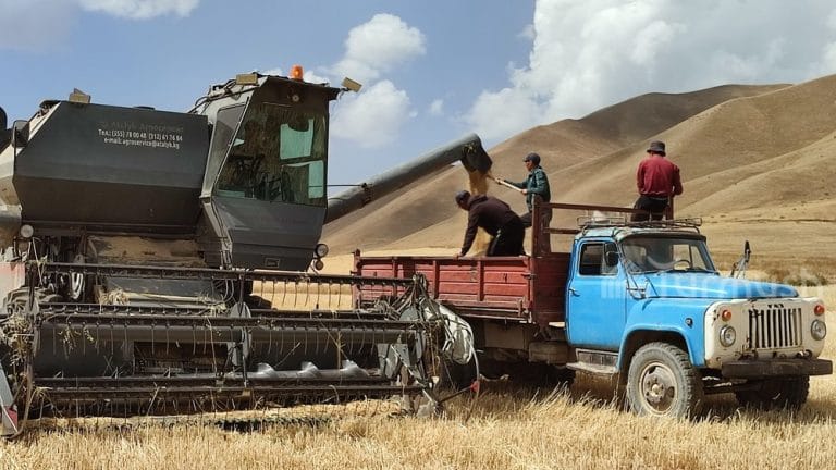 Айыл чарба тармагы боюнча цифралар сүйлөйт