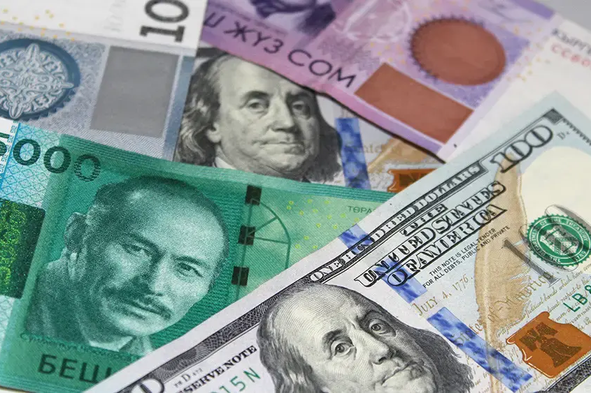 АКШдан быйыл 8 айда Кыргызстанга 13,8 млн доллар которулган