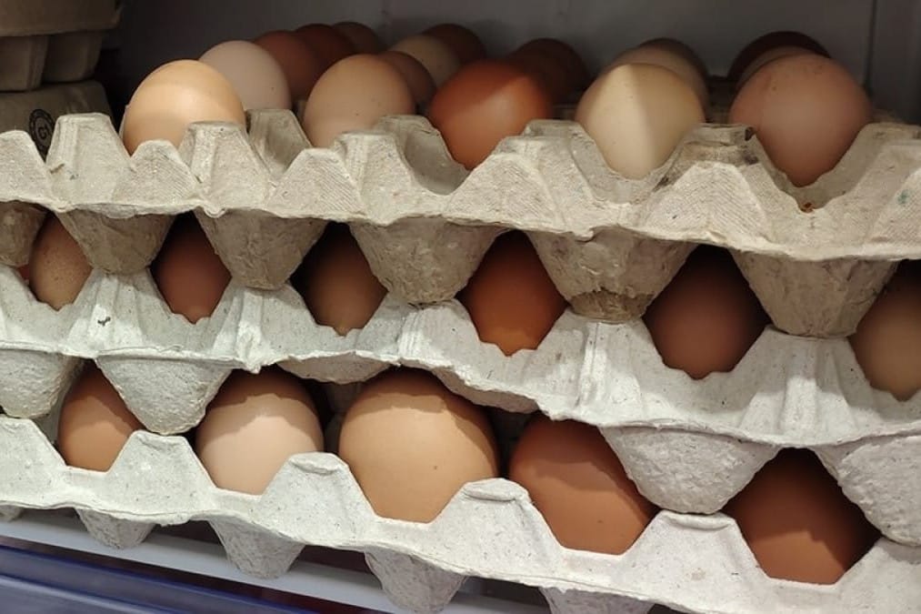 Казакстанга тоок жумурткасын алып кирүүгө убактылуу тыюу салынды