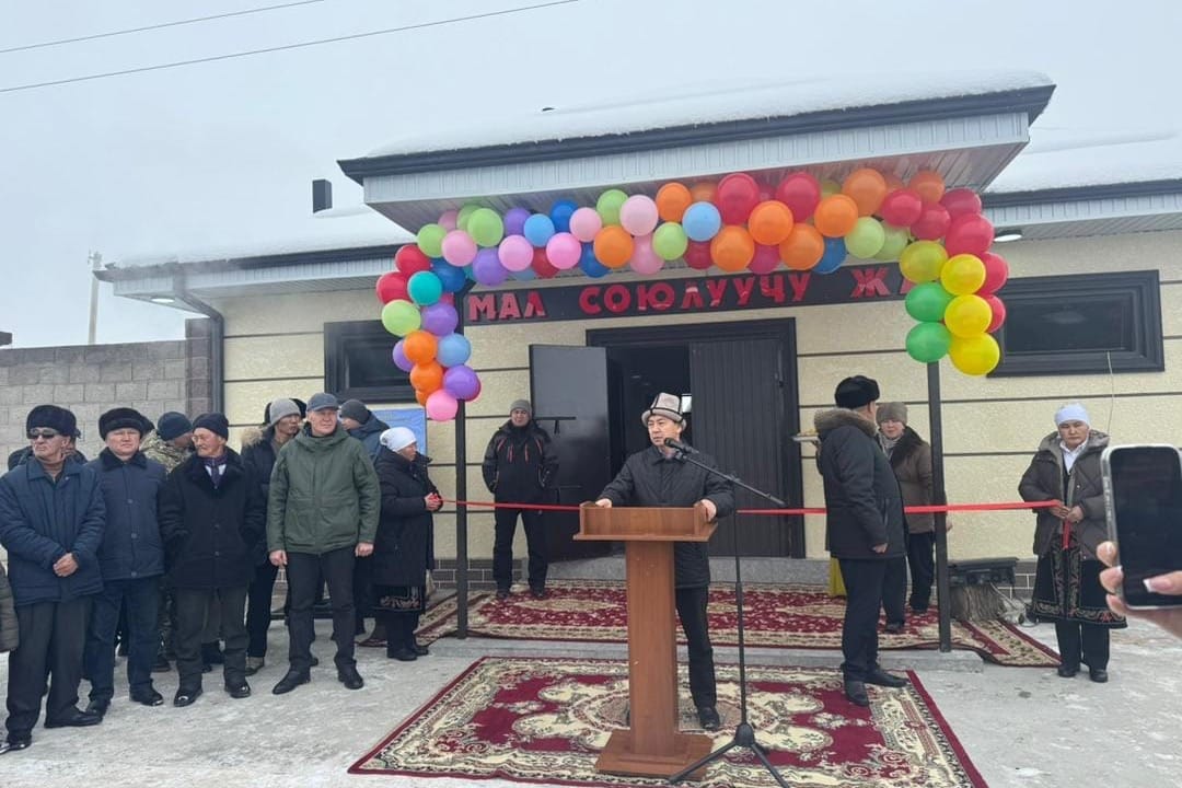 Ак-Талаа районунда 220 бодо мал, 1500 кой, эчки бордой турган комплекс ачылды