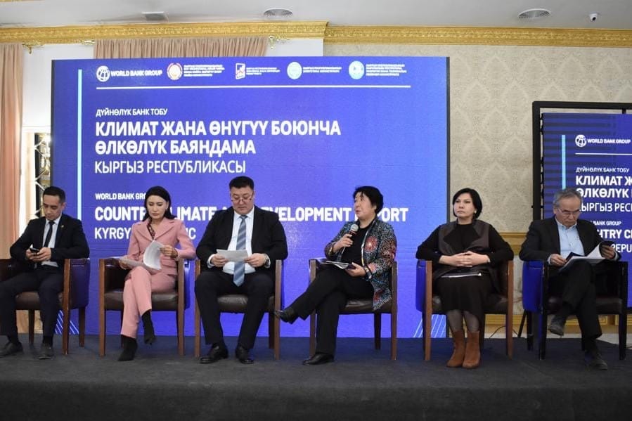Кыргызстан туруктуу климат жана жашыл экономика боюнча талкуу өткөрдү
