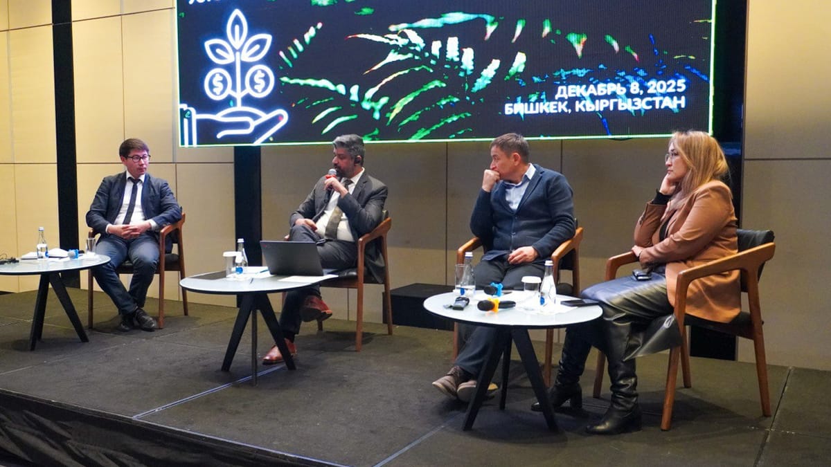 Банк жана финансы уюмдары үчүн жашыл каржылоо боюнча тренинг өттү