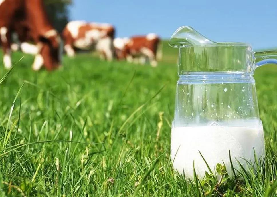 С.Жапаров: "Жаңы жылдан кийин бизнести олуттуу жеңилдиктер күтөт"