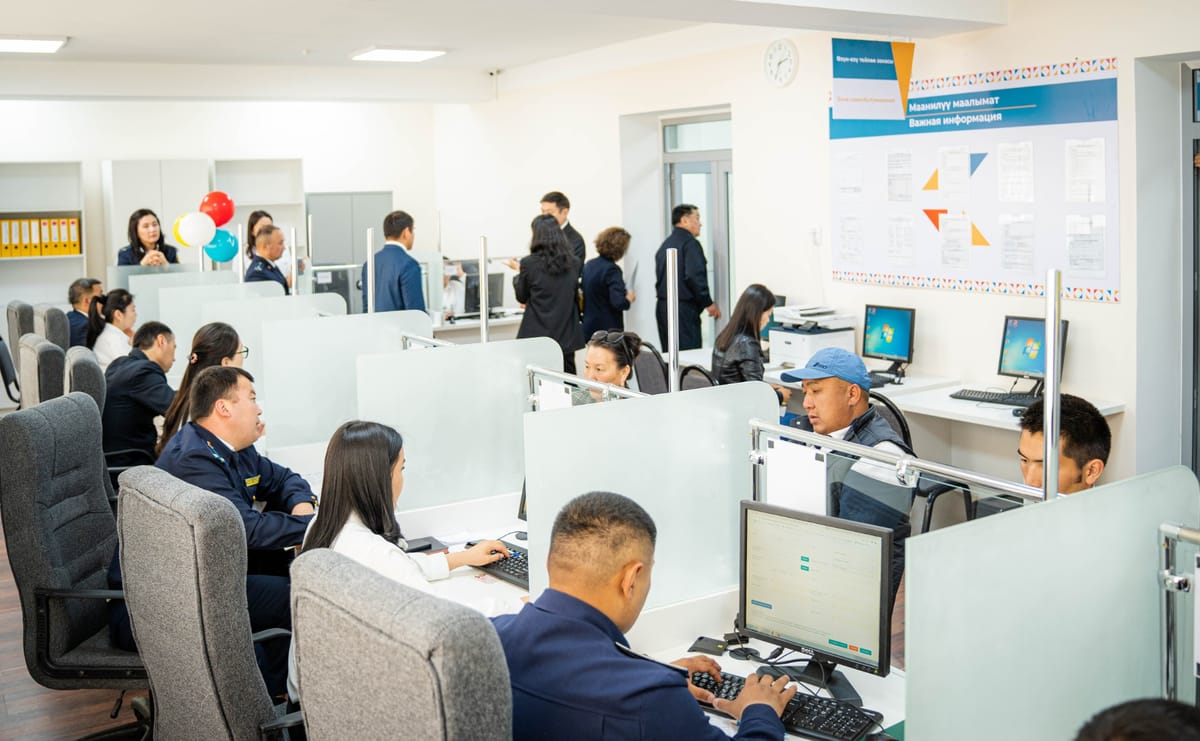 Быйыл 11 айда 1,1 млн жаранга салыктык кызмат көрсөтүлгөн