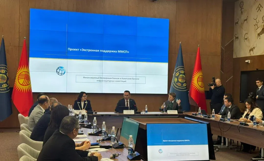 Кыргызстанда 4 жылда чакан жана орто ишкерликке 150 млн доллар каражат  тартылган