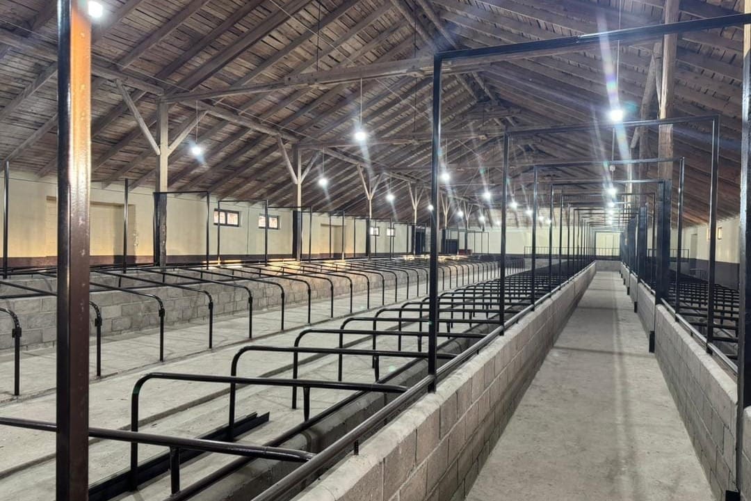 Быйыл 10 айда агробъектилерге салынган инвестицияларды өздөштүрүү 13,9%га өстү