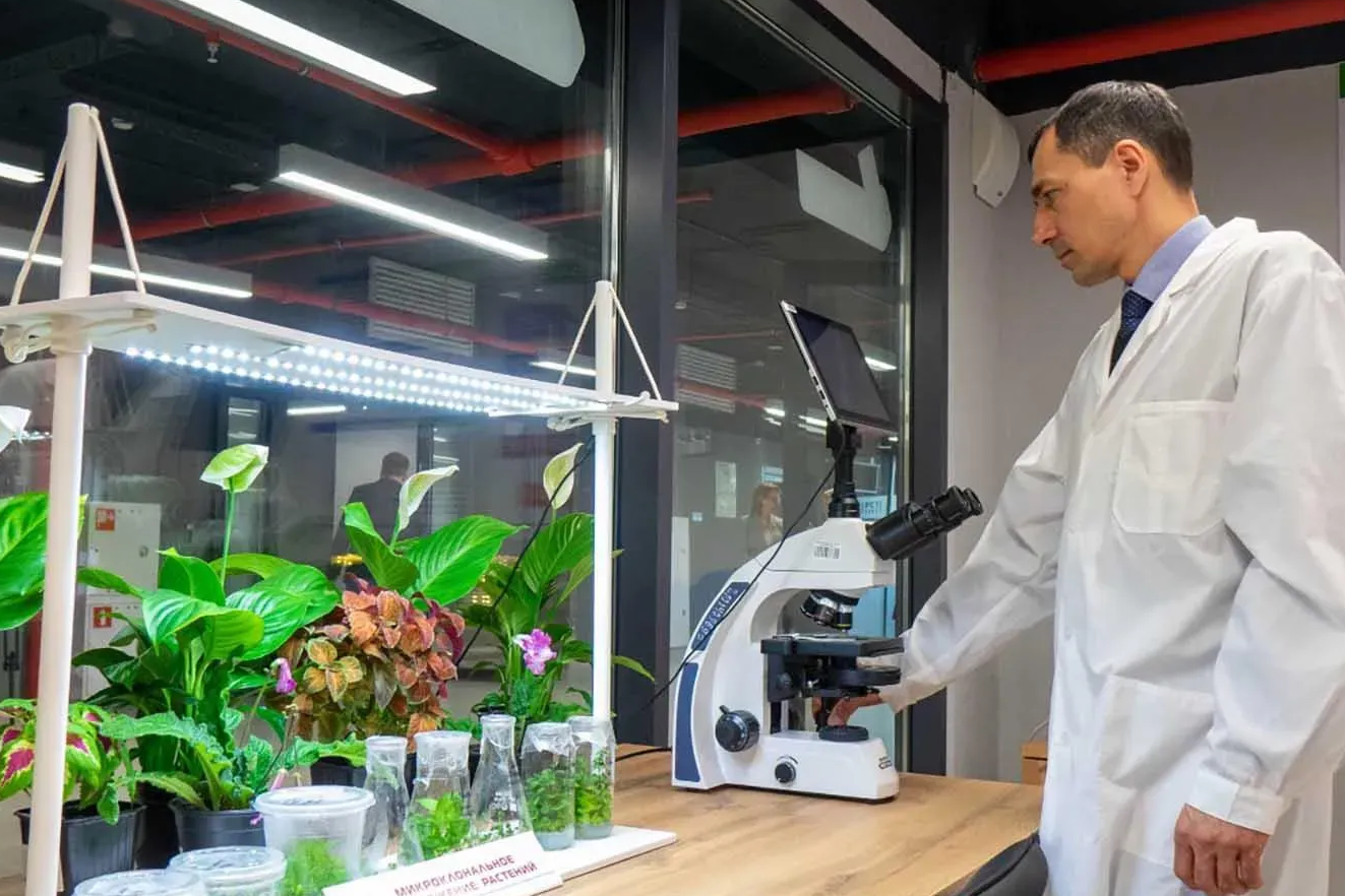 Балыкчыда өсүмдүктөр лабораториясын курууга 350 миң доллар бөлүнөт