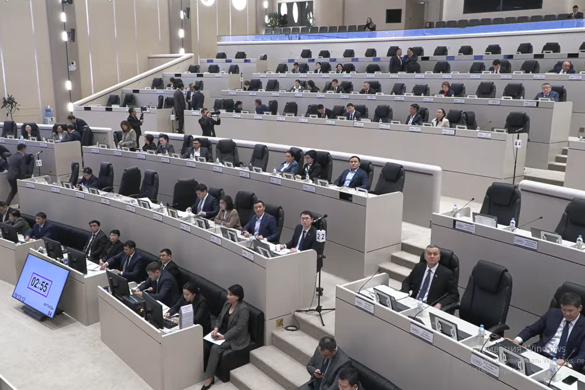 Депутат Дастан Бекешев визаран мыйзамдарына өзгөртүү киргизүүнү сунуштады