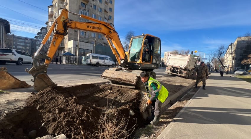 Бишкекте шаарды көрктөндүрүү үчүн дүмүр алуу иштери уланууда