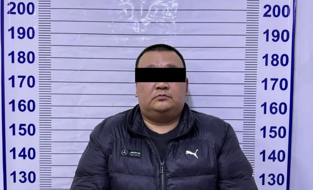 Чүйдө 7 млн сомдук ОСАГО каражатын кымырып алган чет элдик жаран кармалды