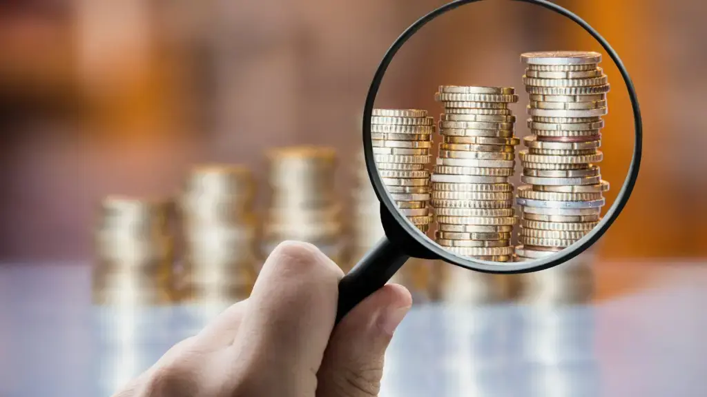 Салыктык эмес кирешелердин өсүшү 2025-жылдын бюджет профицитине таасир эткен