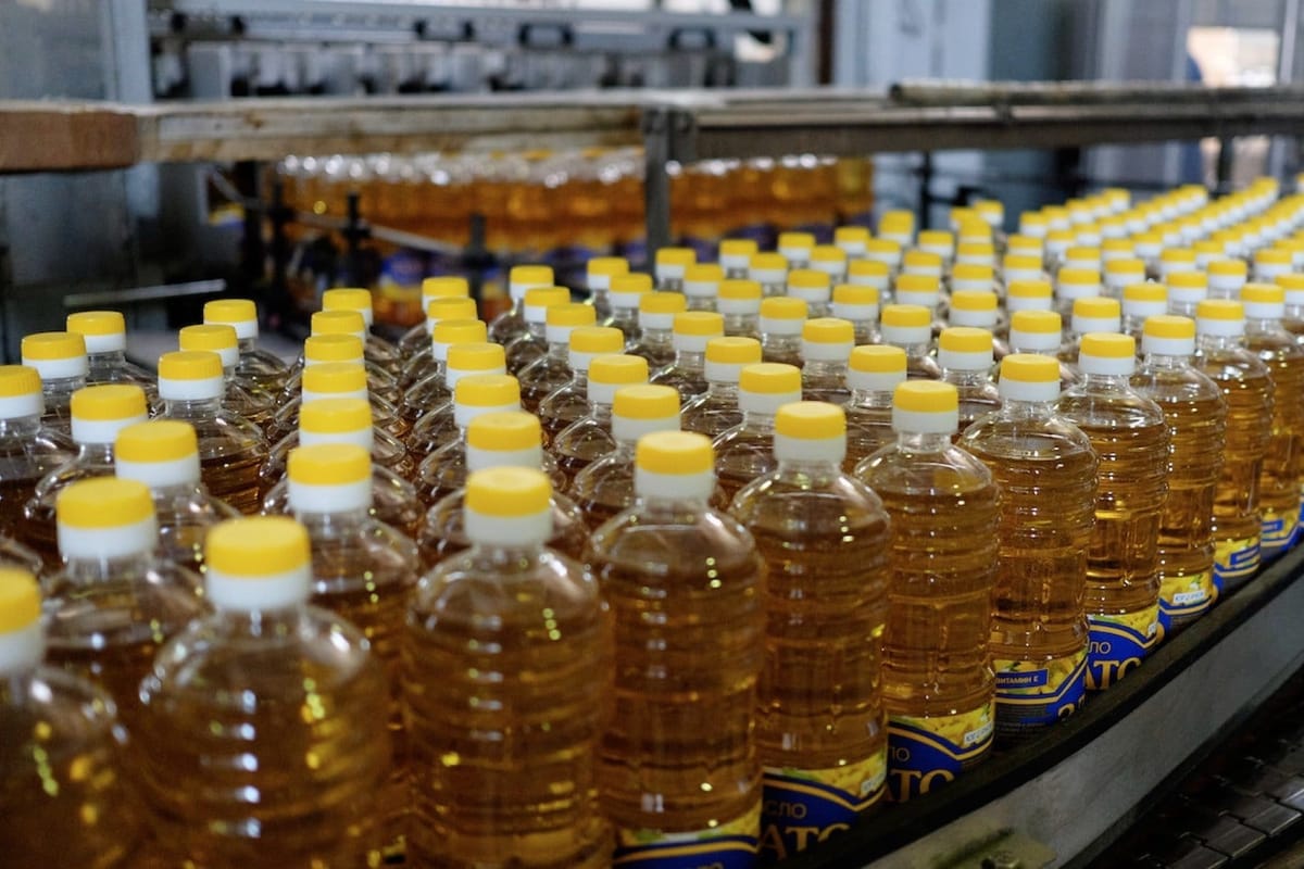 Кыргызстанда өсүмдүк майы менен өзүн өзү камсыздоо 56,5%га жетти