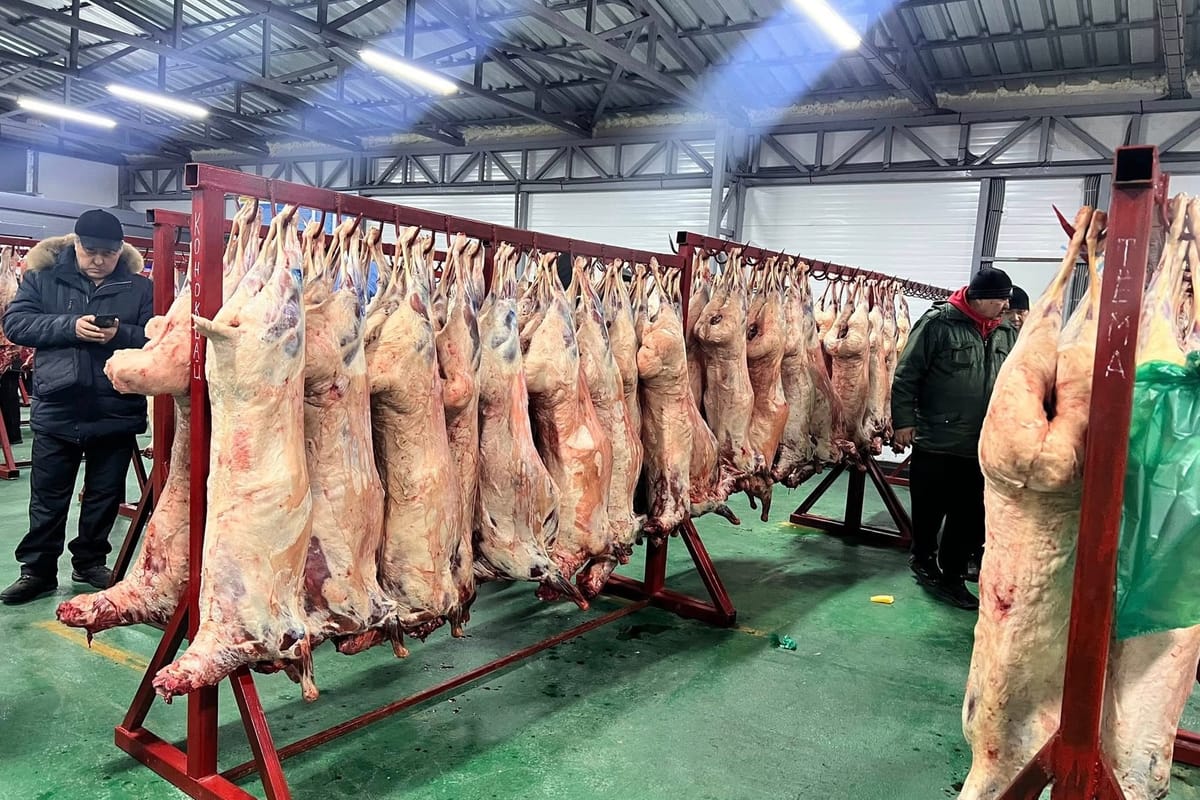 Ош базарындагы этти дүңүнөн сатчу жай "Алтын Така" базарына көчтү