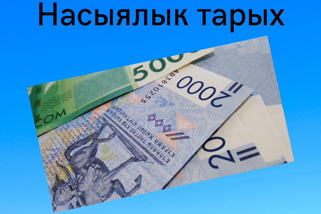 Кыргызстанда 302 миңден ашык адамдын терс насыялык тарыхы бар