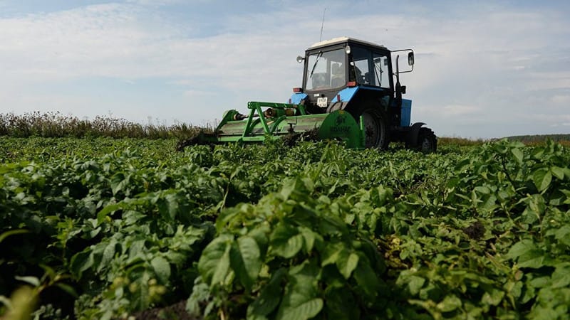 18–19–20–21-февраль күндөрү "АгроДиалог–2026" агроөнөр жай форуму өтөт